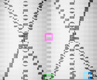Center, Bottom, and Corner Data Points in #58-835 Star Target Array
