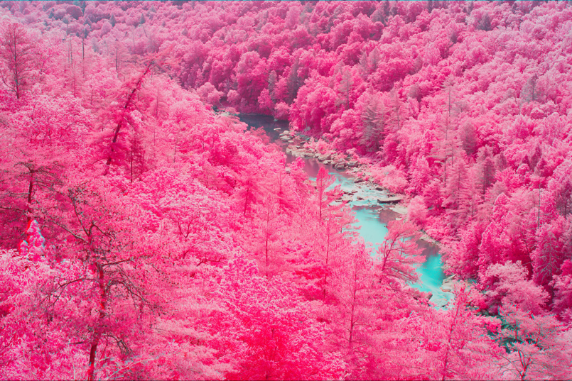These images are of a creek passing through a forest of trees. The leftmost image is a standard color image. The center image is created only from IR wavelengths outside of the visible spectrum. The third image is a false color image created from the wavelength information of the first two images and can be used to identify the health of the trees and the presence of any man-made objects. Image courtesy of Benjamin Margulies.