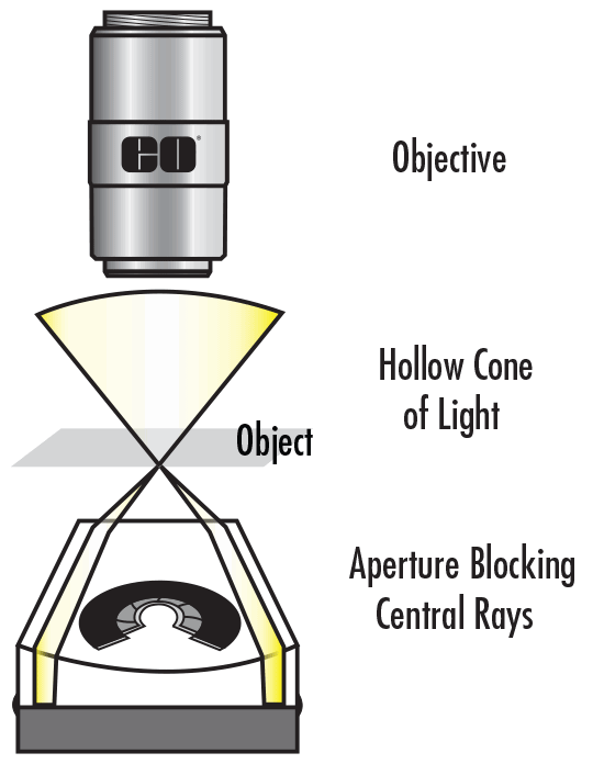 Darkfield Illumination Setup