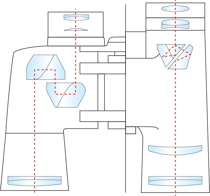 Optical elements in a binocular highlighting the difference between double Porro and Schmidt-Pechan prism assemblies