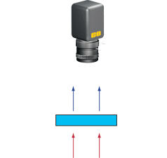 Brightfield/Blacklight Illumination Setup