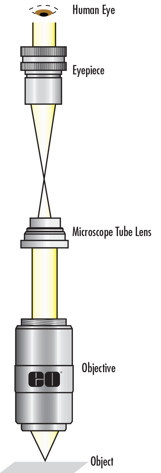 Simplified Infinite Conjugate Microscope Design
