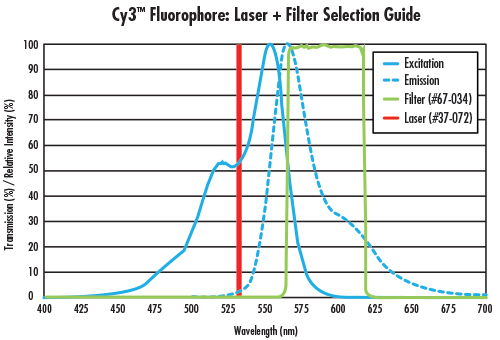 fig 4 Fluorescence Imaging with Laser Illumination