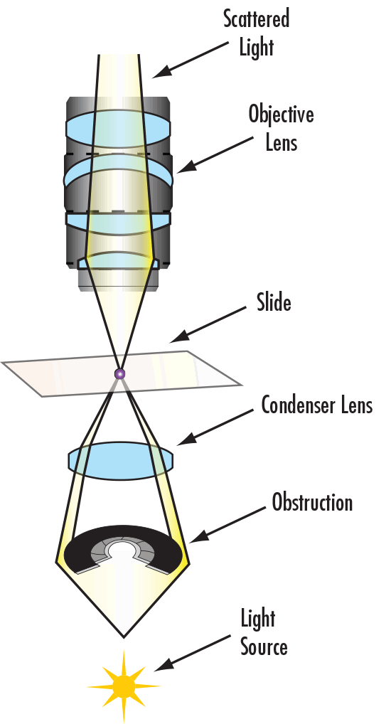 Optical Path for Darkfield Illumination