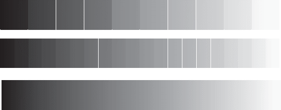 Illustration of 2-Bit, 4-Bit, and 8-Bit Grayscales