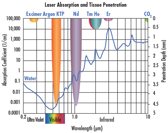 Absorption of water and tissue penetration depth at different wavelengths