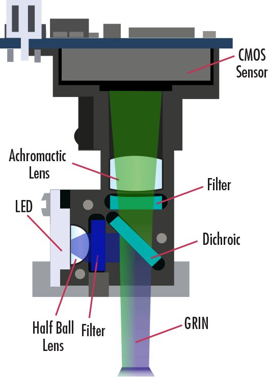 Cross-sectional view of the Miniscope