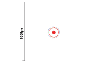 Spot Diagram of 25mm Dia. x 30mm FL Achromatic Lens