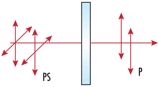 Dichroic polarizers absorb the unwanted polarization state