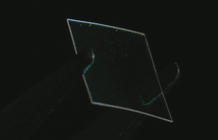 Everix Filters
